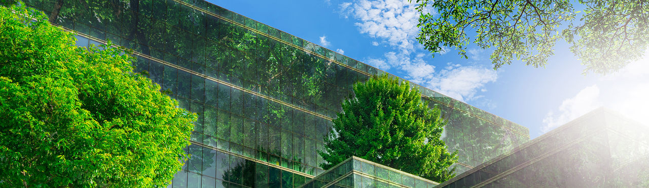 Ein modernes Glasgebäude, eingebettet in üppiges Grün mit zahlreichen Pflanzen und Bäumen.