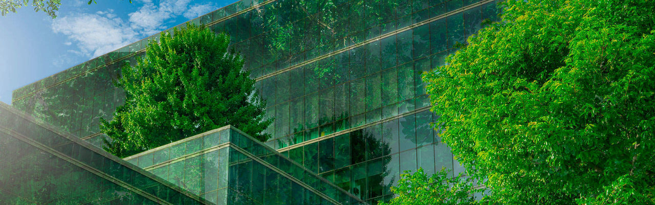 Detalle arquitectónico de un edificio moderno con una fachada que integra elementos verdes. Se observan grandes paneles de vidrio reflectante que reflejan el cielo azul con algunas nubes y la vegetación circundante, creando una sensación de continuidad entre el edificio y su entorno natural. 